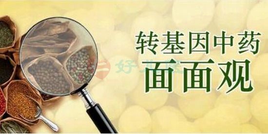 好中医培养1.jpg